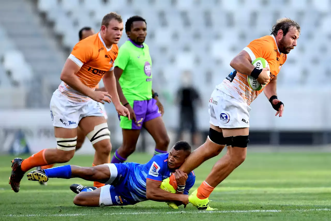 Sharks snap up Cheetahs thumper