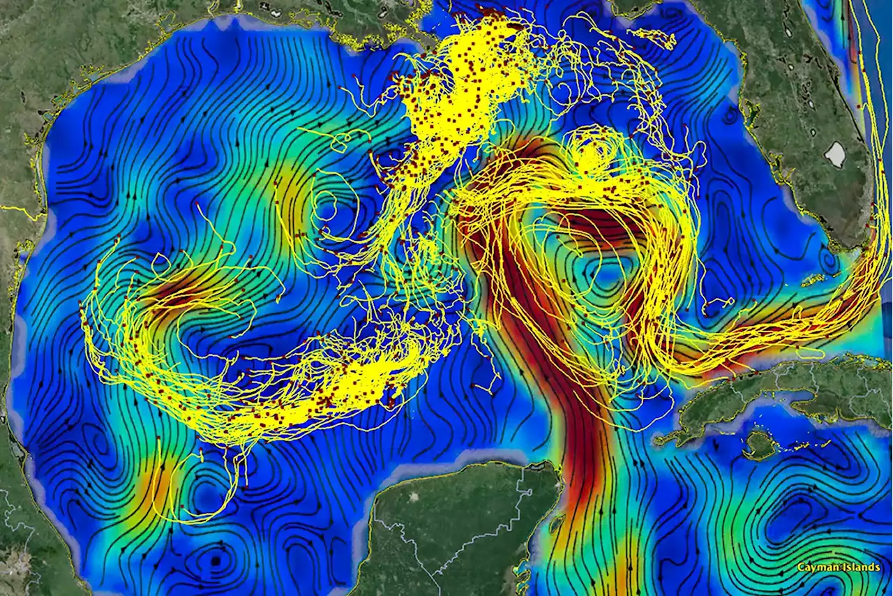 Machine Learning Makes Waves: A Better Way To Study Ocean Currents