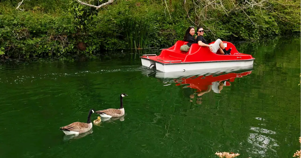 SF leaders back Stow Lake name change