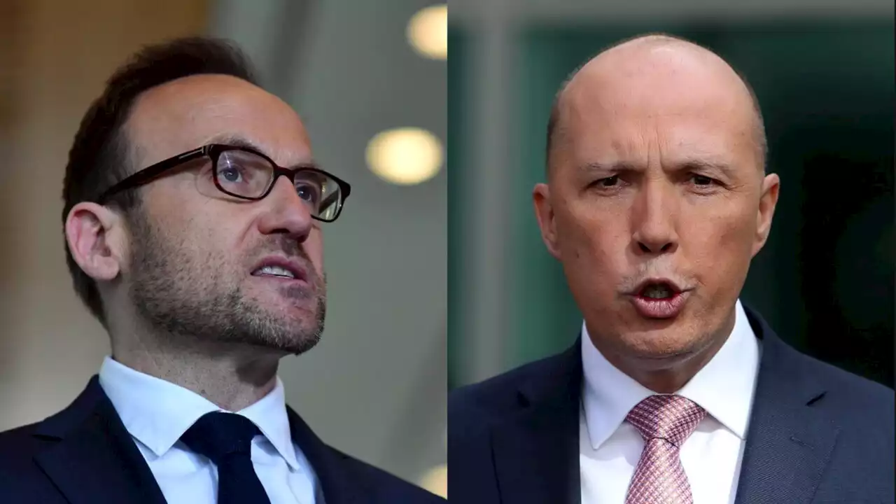 ‘Unholy alliance’ between Greens and Coalition needs to ‘step aside’: Jones