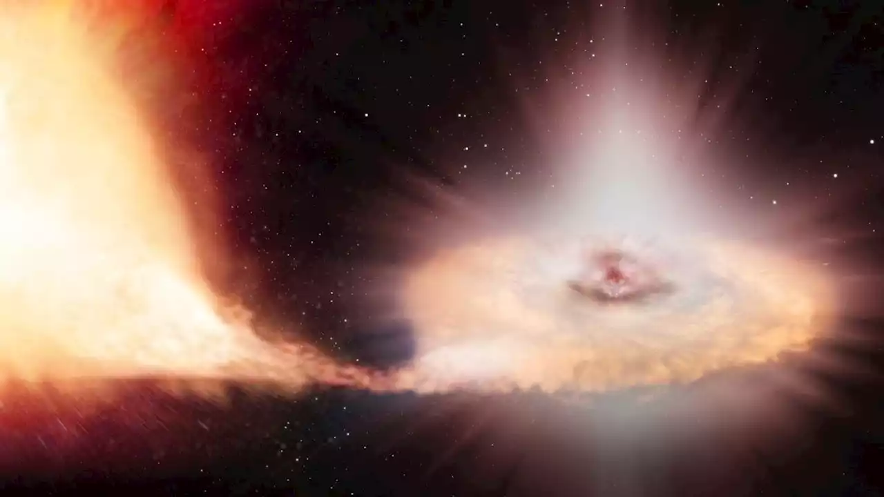 Zombie white dwarf fed on neighbor star until bursting in a thermonuclear explosion