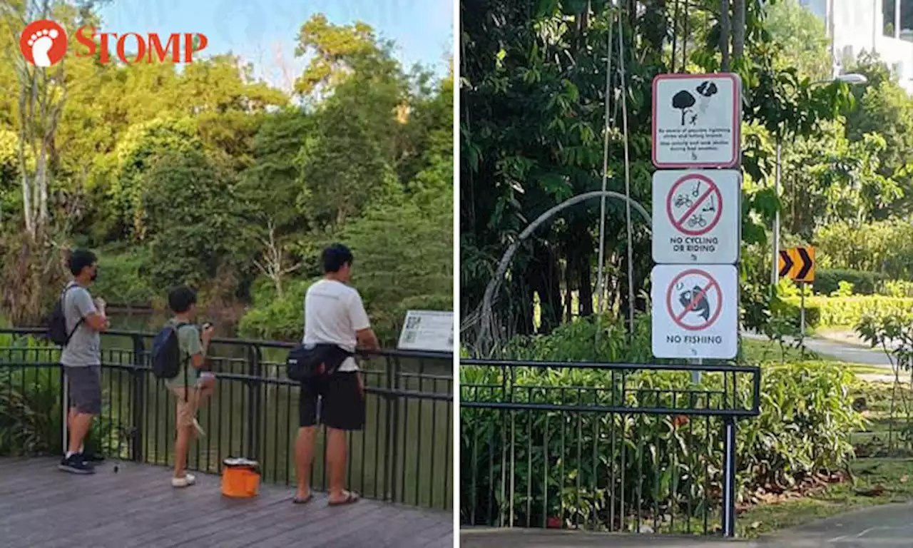 Group of boys fish at Hampstead Wetlands Park despite 'no fishing' signs