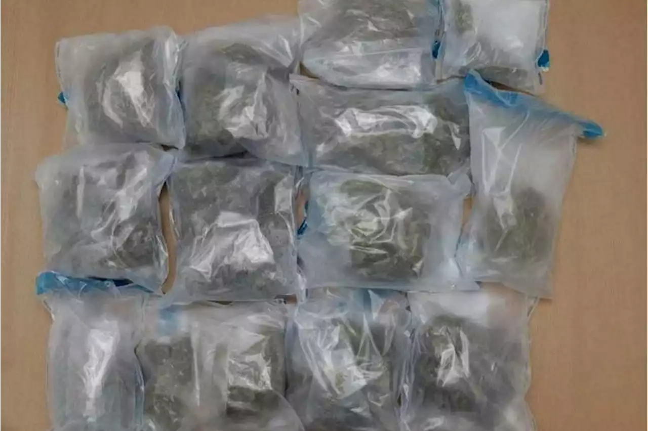 5 S’poreans arrested in anti-drug busts; drugs worth $360,000 seized