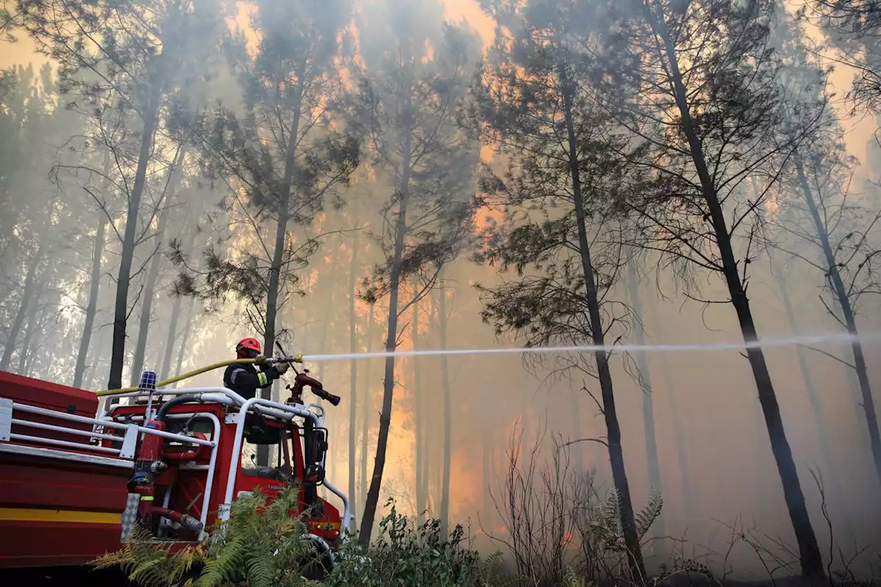 Feux de forêt : les députés votent pour l’aggravation des amendes pour manquement au débroussaillement