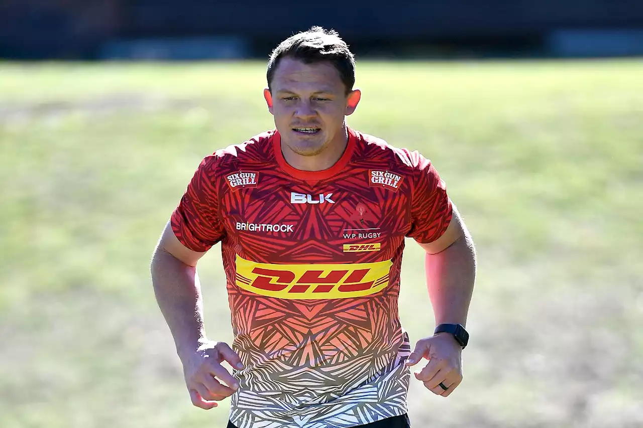 Full strength Stormers and Munster squads preparing for epic URC final | The Citizen