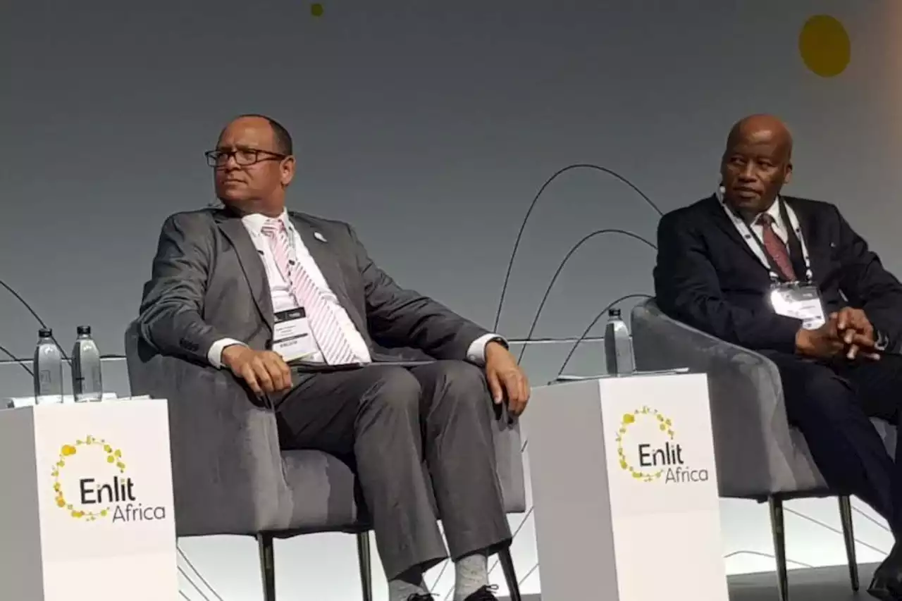 WATCH: Eskom acting CEO 'not losing sleep' over total blackout concerns | The Citizen