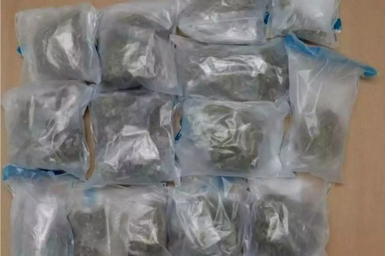 5 S’poreans arrested in anti-drug busts; drugs worth $360,000 seized