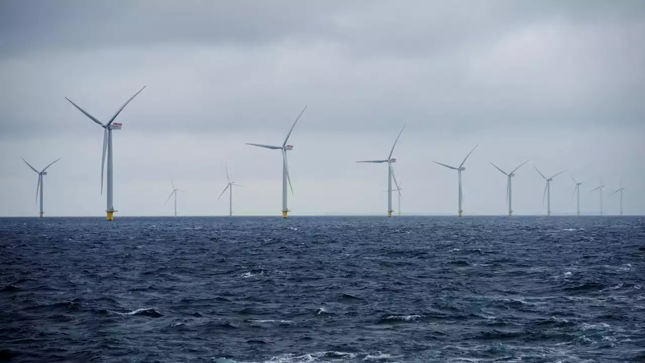 Regeringen vil gøre staten til medejer af nye havvindmøller