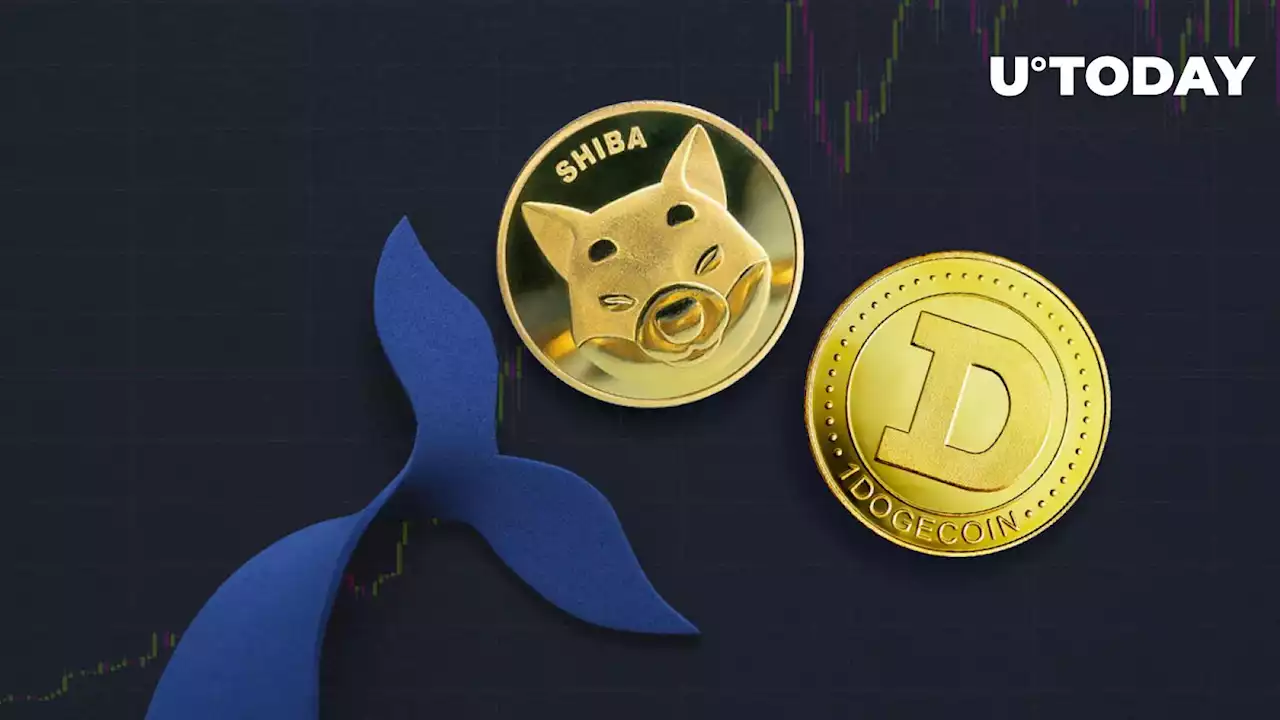 Fifth Largest Shiba Inu (SHIB) and Dogecoin (DOGE) Whale Is Same Person: Here's Who