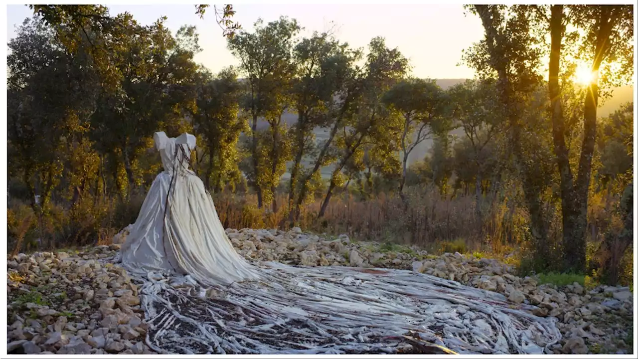 ‘Anselm’ Review: Wim Wenders Unveils a Magnificent 3D Portrait of German Artist Anselm Kiefer