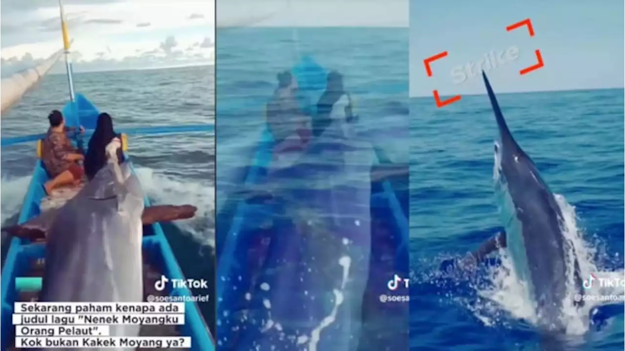 Viral 2 Emak-emak Nangkep Ikan Sebesar Perahu, Netizen: Gak Heran