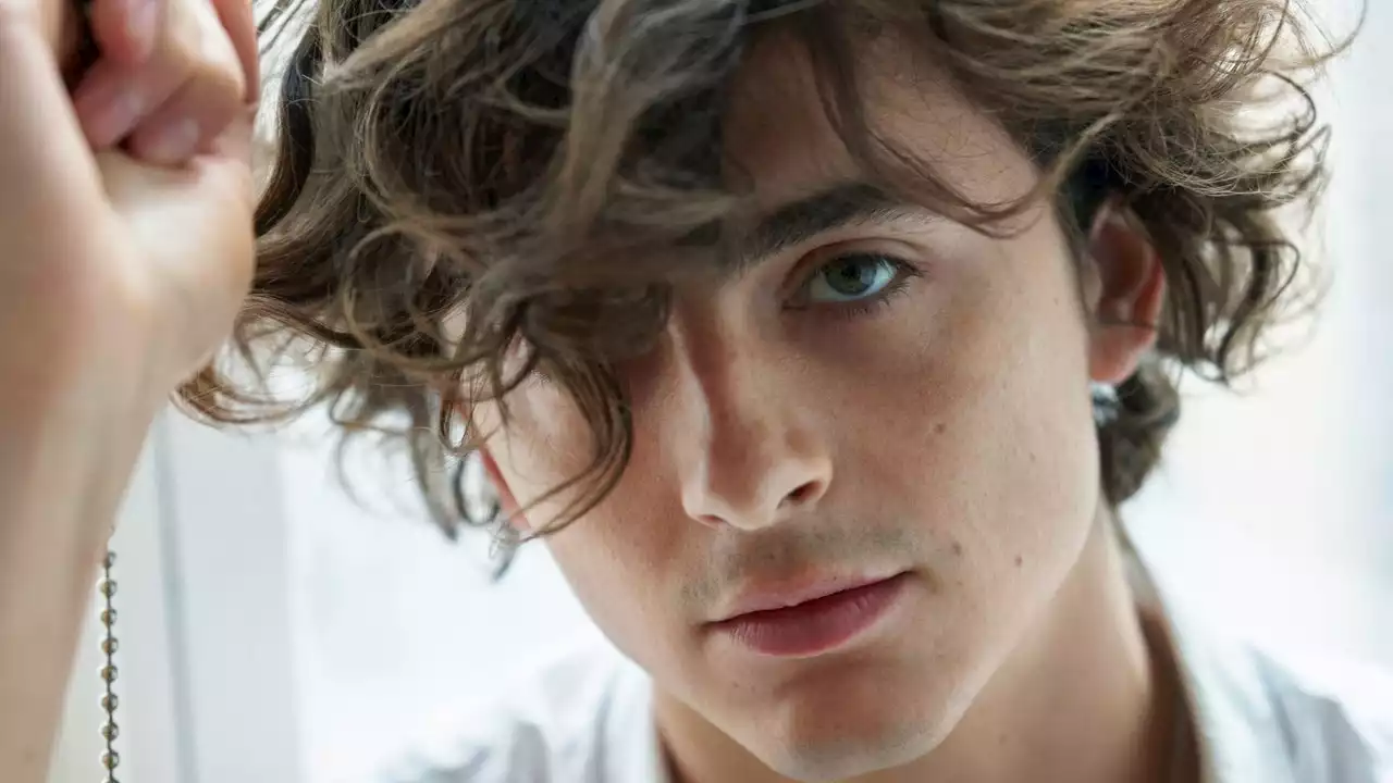 Timothée Chalamet nous parle de ses cheveux bouclés “à la française”, de son rôle d'ambassadeur de Bleu de Chanel et du tournage avec Martin Scorsese