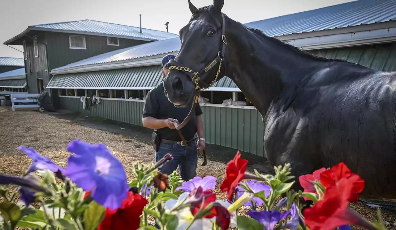 As Triple Crown chase rolls on, horse racing at a crossroads after latest spate of deaths