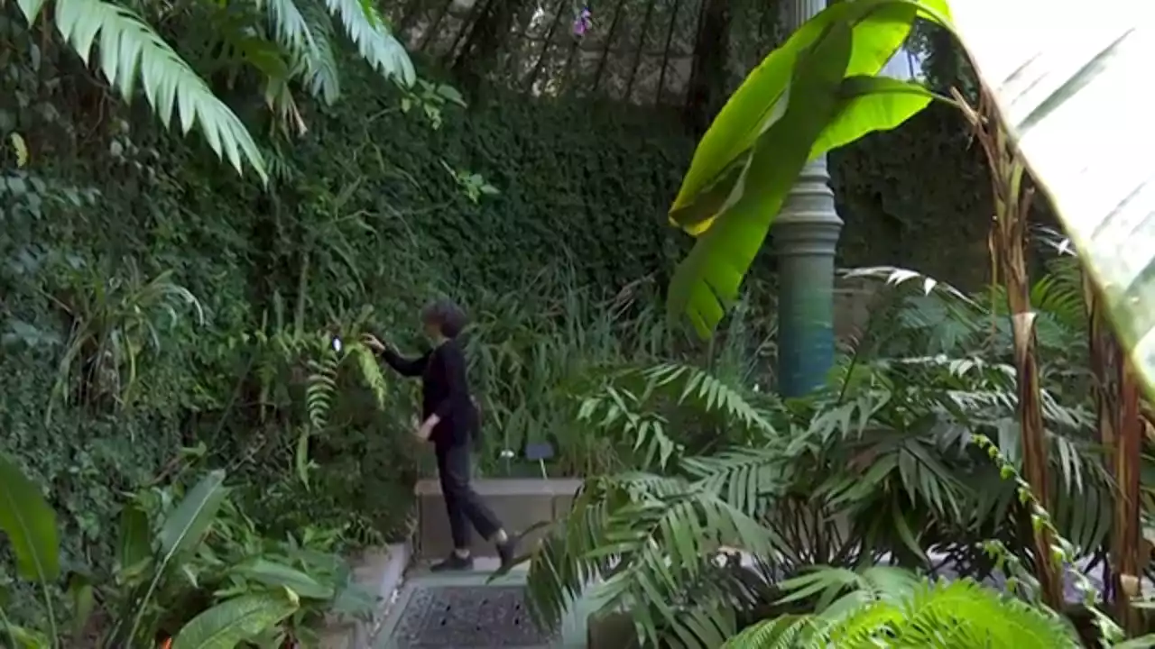 El Jardín Botánico de Madrid, uno de los museos vivos más importantes de la comunidad