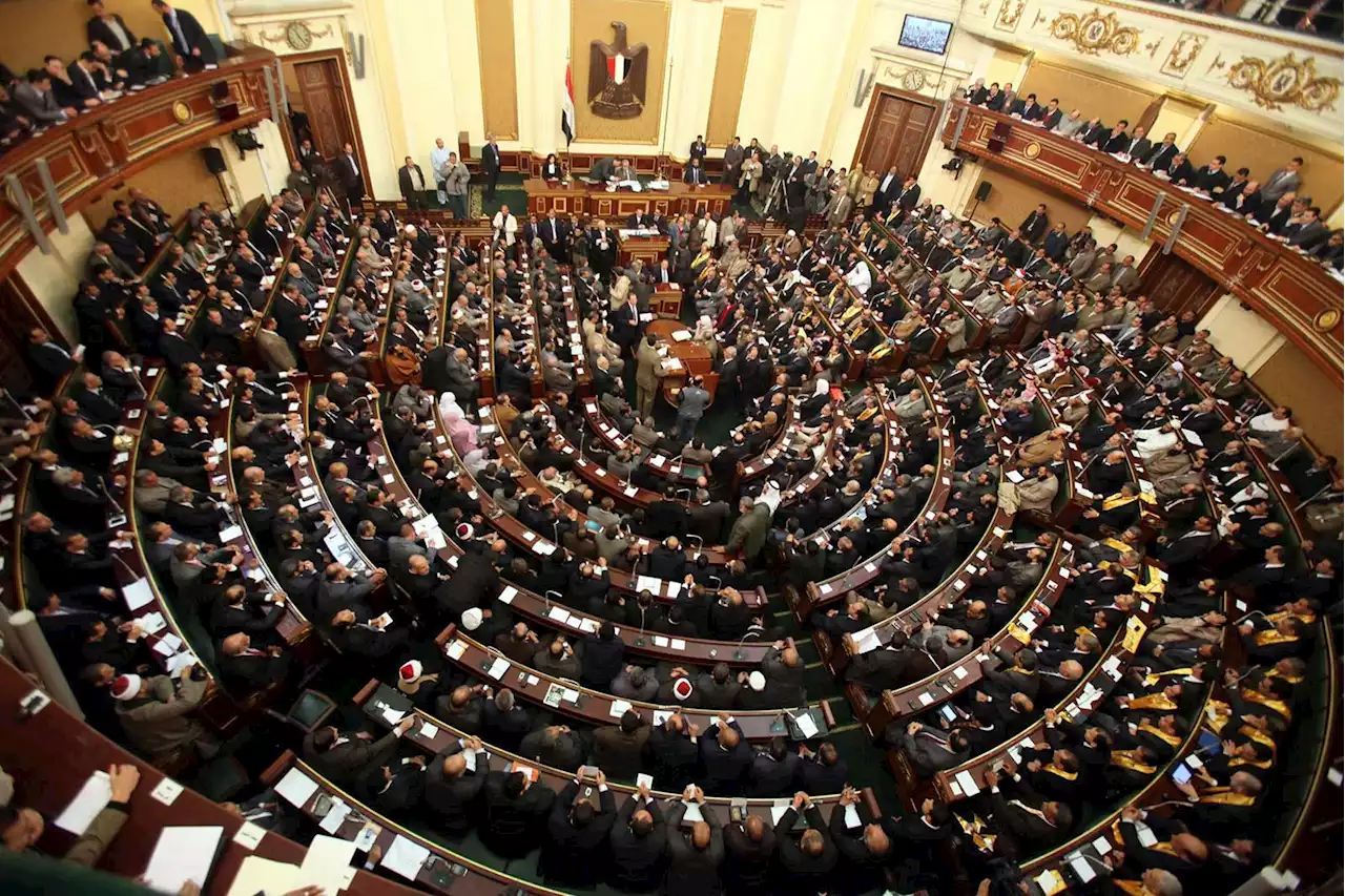 حافظ إبراهيم يثير حراكاً في البرلمان المصري