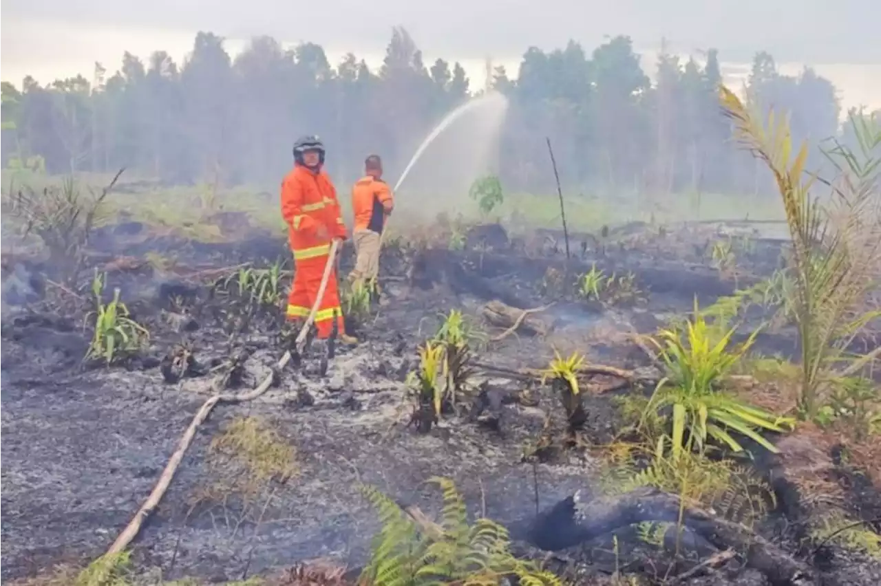 Tim gabungan padamkan karhutla di Kalis Kapuas Hulu