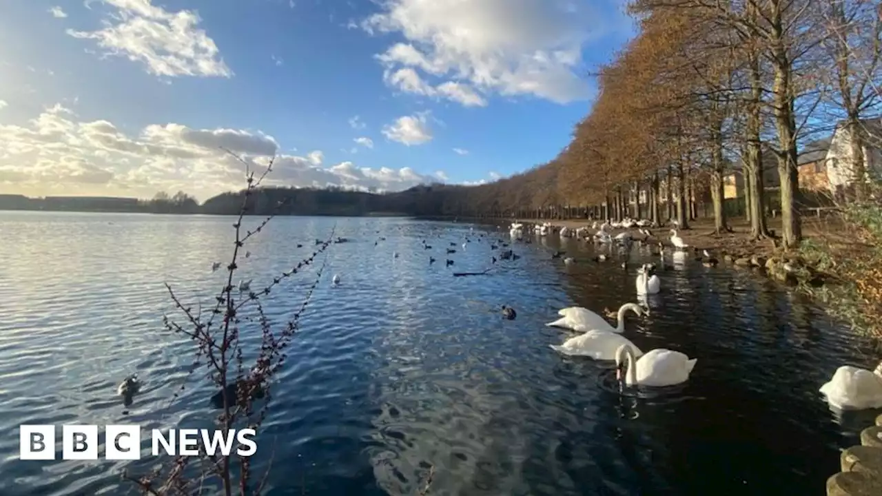 Illegal fishing at Doncaster Lakeside threatens fish numbers, meeting told