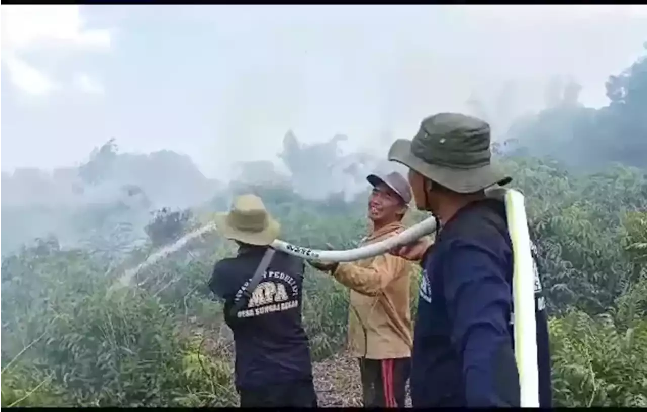 Cuaca Panas Tiba, Kebakaran Lahan Mulai Terjadi di Ketapang