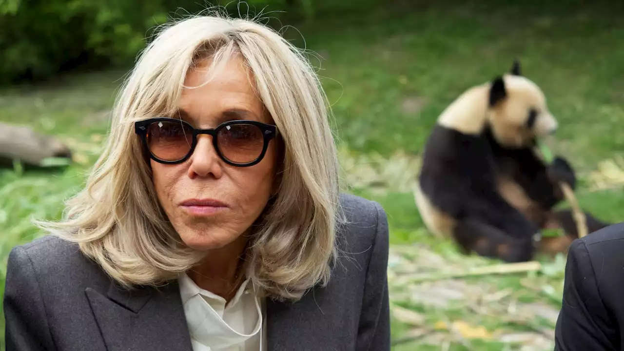 'Un pincement au cœur': Brigitte Macron dit au revoir au panda Yuan Meng du zoo de Beauval