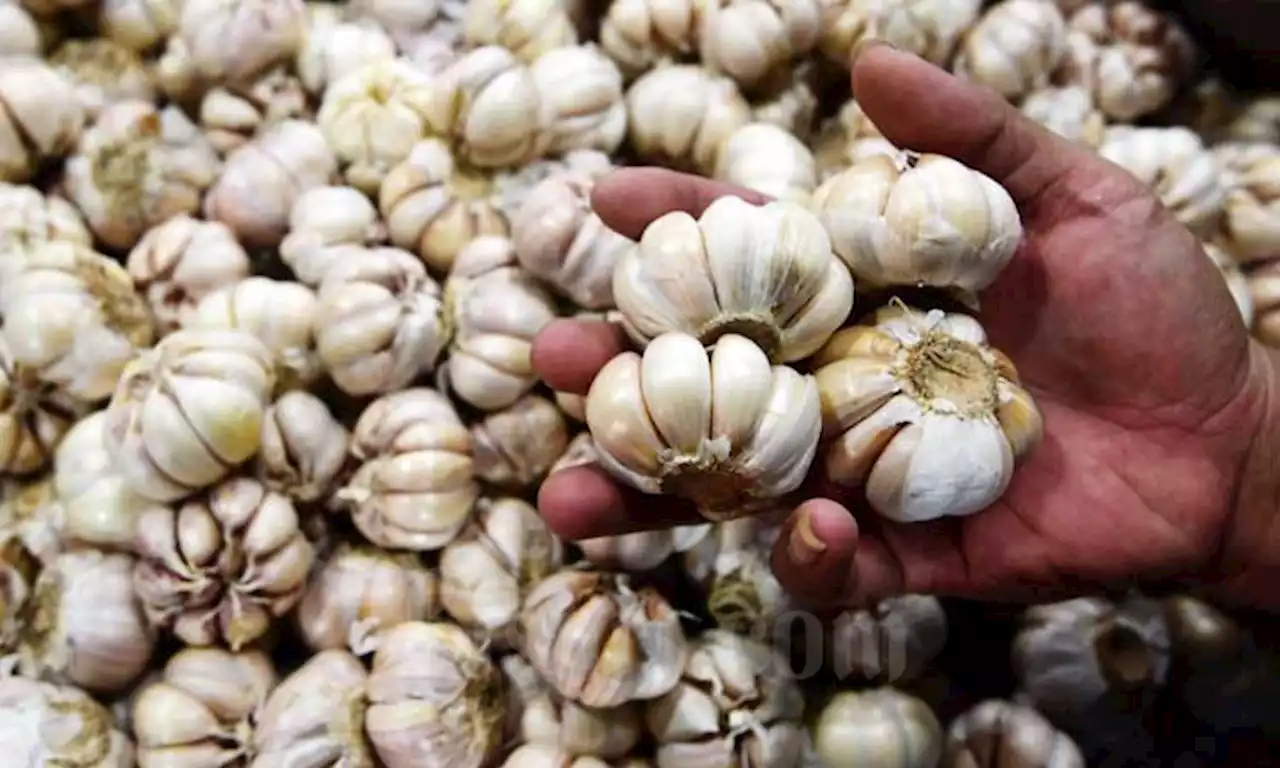 Harga Pangan Hari Ini 18 Mei: Bawang Putih hingga Telur Naik, Beras Medium Turun