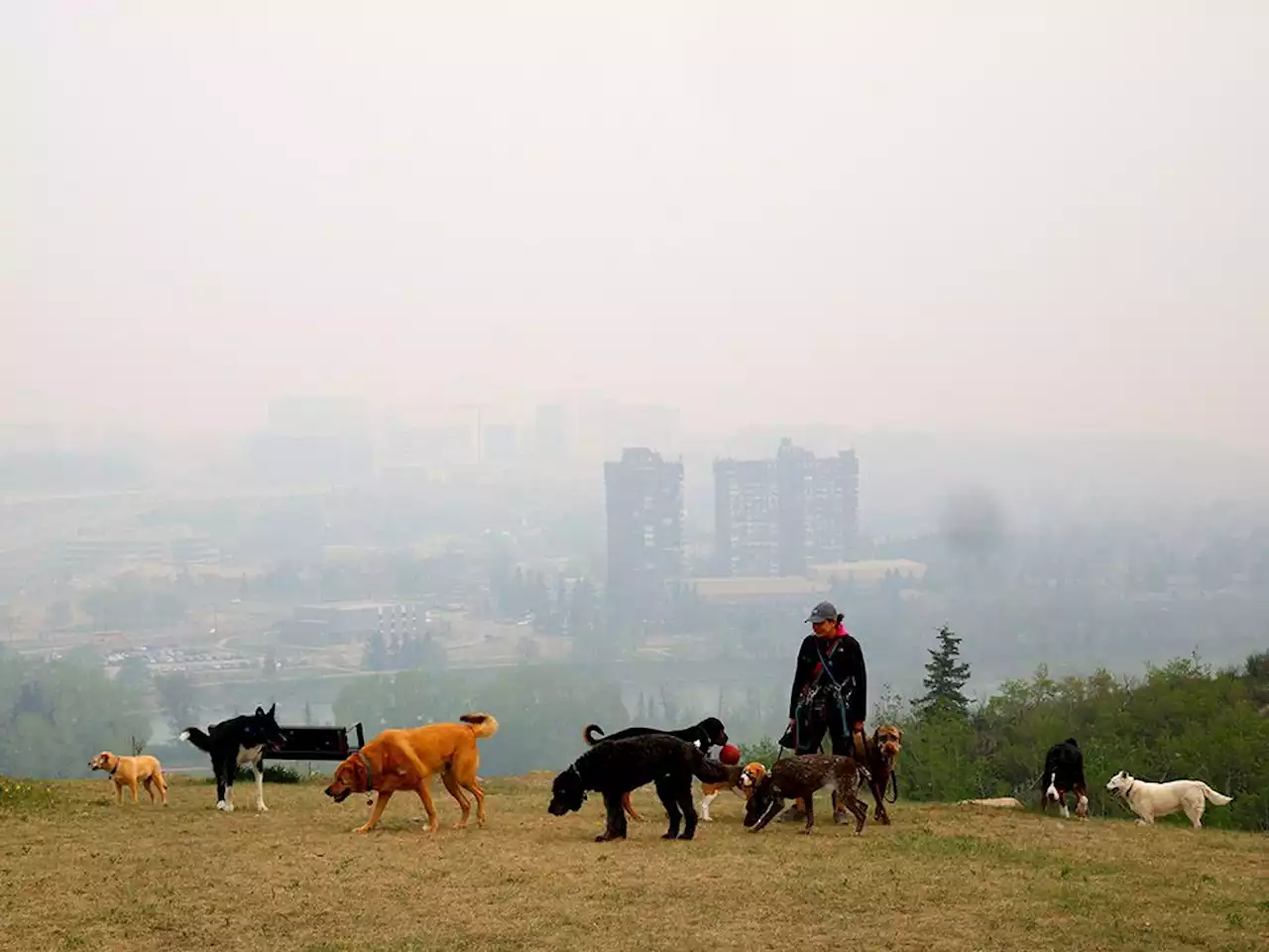 Air quality in Calgary 'very high risk' as wildfires rage in northern Alberta