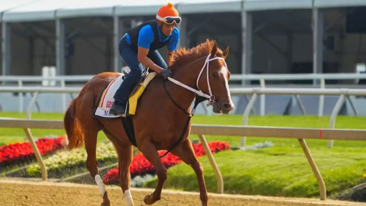 Horse racing-Derby winner Mage enters Preakness Stakes as the horse to beat