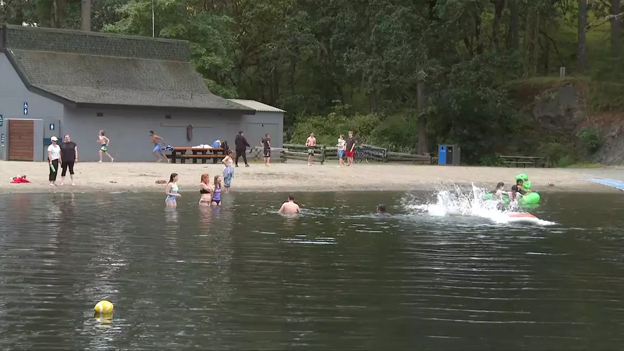 Non-swimmers 'lucky to be alive' after floatie flips in Thetis Lake: fire chief