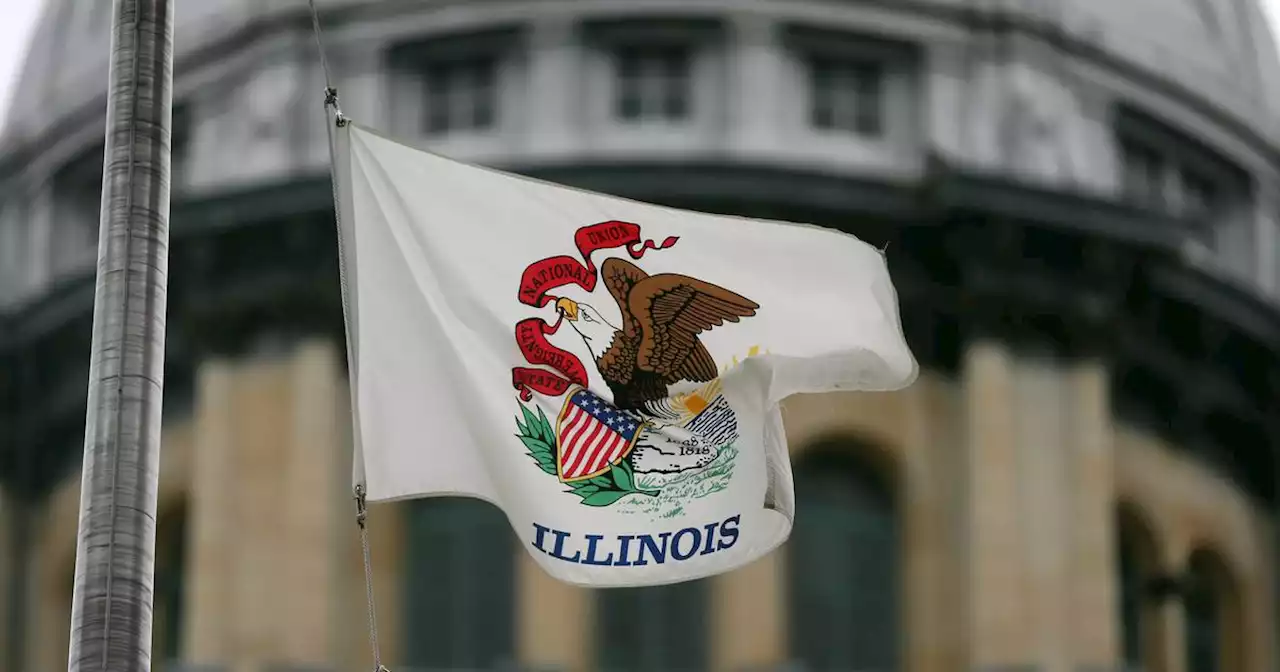 Legislators OK plan to study Illinois state flag redesign