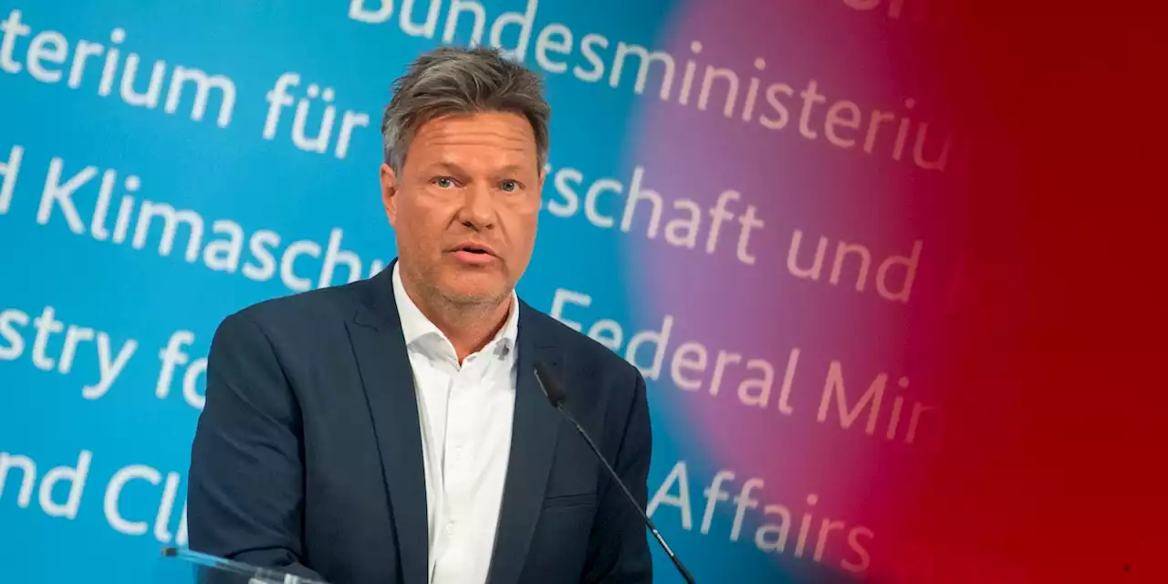 FDP bremst bei Heizungsgesetz - „100 Fragen an Robert Habeck“