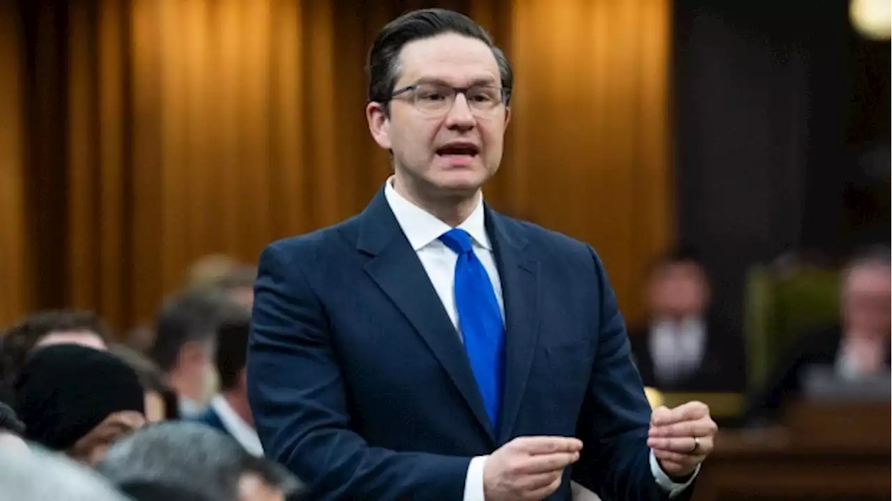 'Fake job:' Poilievre won't meet watchdog investigating foreign interference