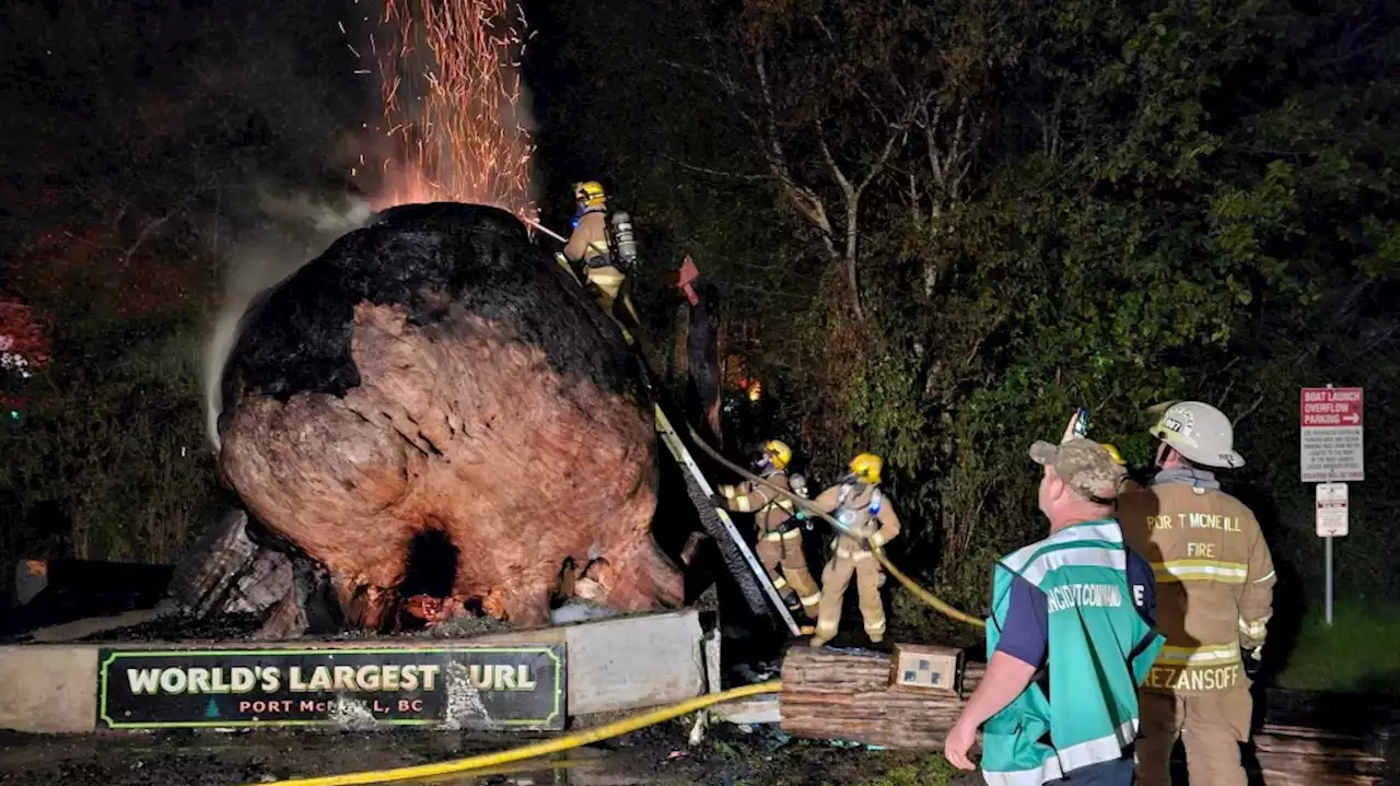 'World's largest burl' burns on Vancouver Island