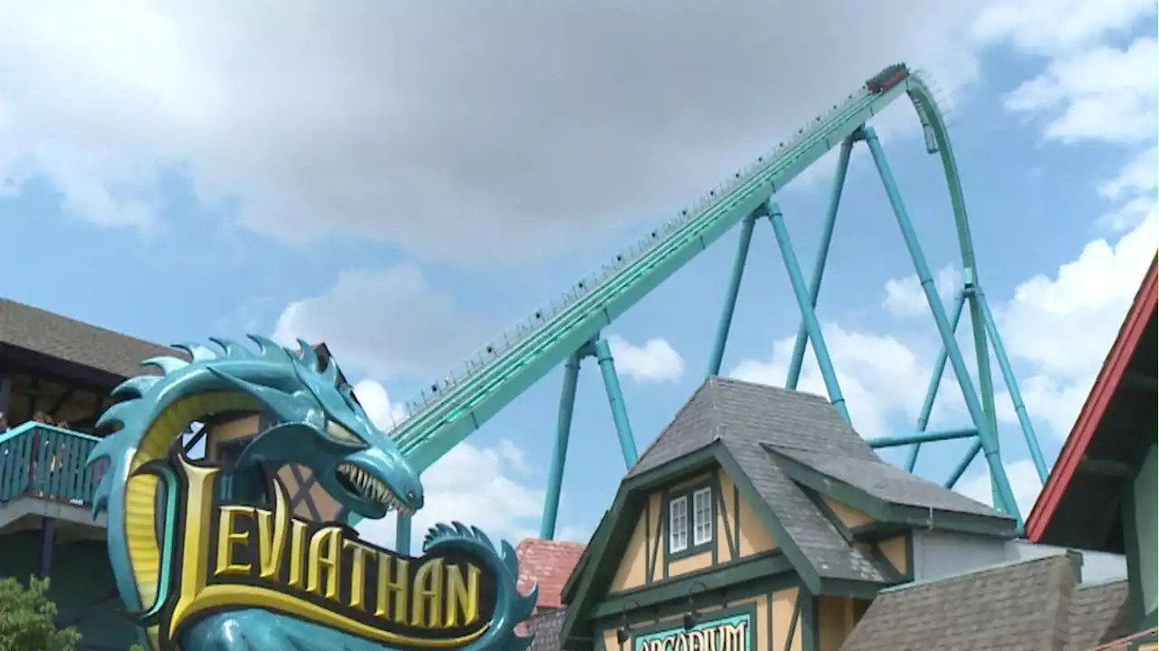 Bird collides with roller coaster, explodes over Canada's Wonderland guests