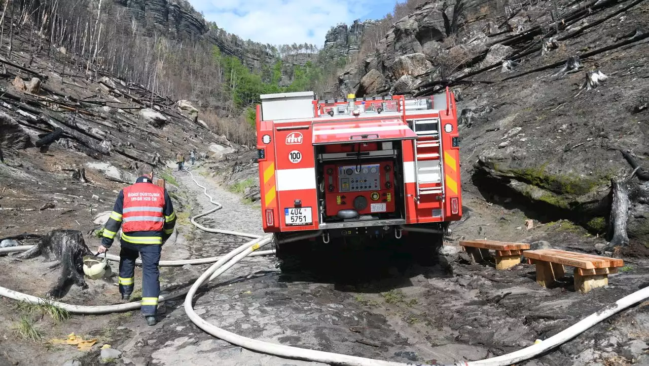 Tschechien: Festnahme nach Waldbrand nahe der deutschen Grenze