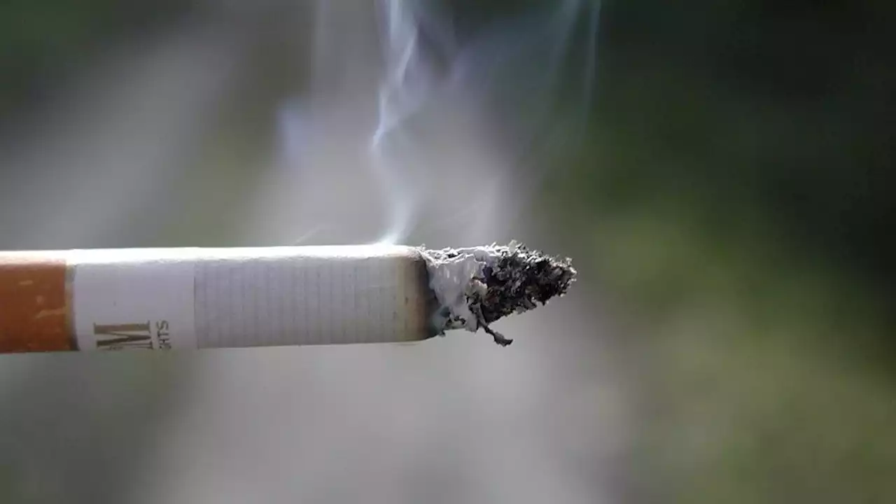 PS prepara-se para suavizar restrições da nova lei do tabaco