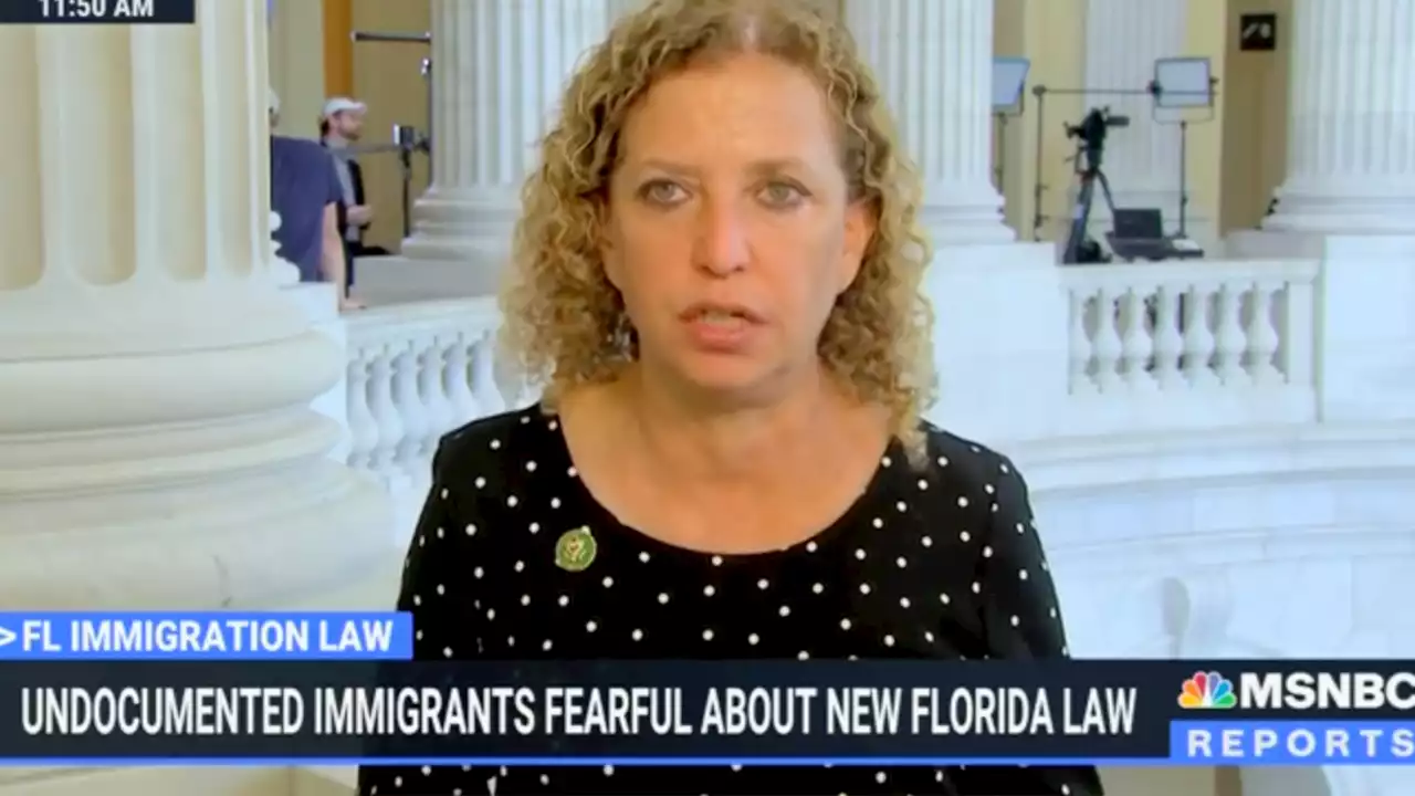 Florida Democrat complains state won't have vegetable pickers once DeSantis’ immigration law goes into effect