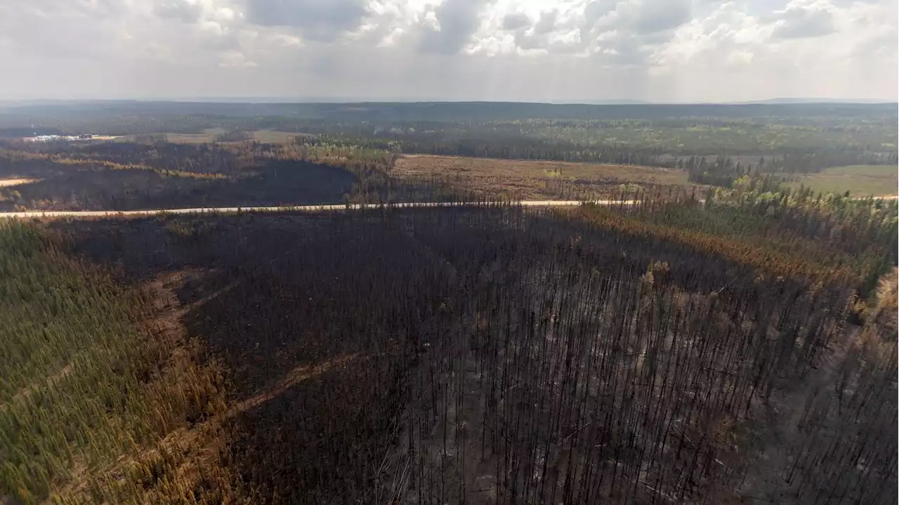 Incendies : le Canada demande de l'aide internationale pour combattre les énormes feux dans l'ouest du pays