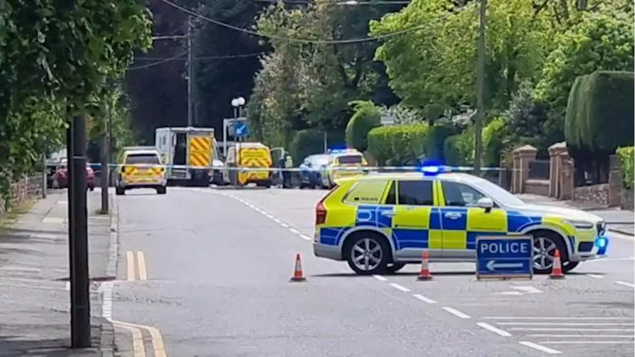 Pensioner dies after being hit by car on busy road