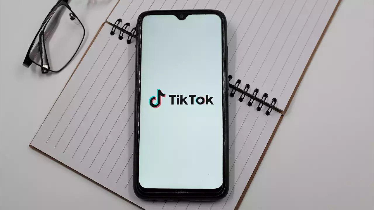 Montana se convierte en el primer estado de Estados Unidos en prohibir TikTok: sus razones