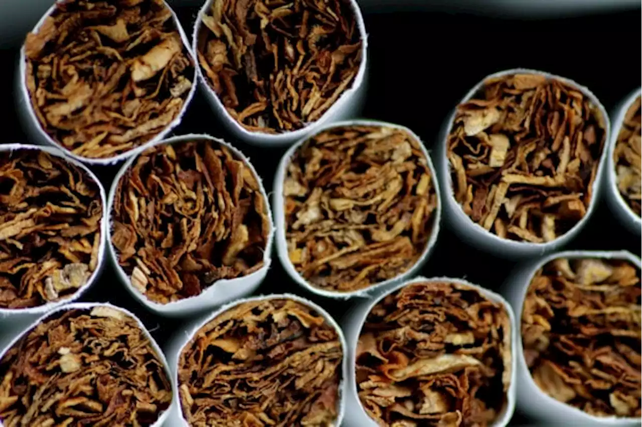 International firm exec tells Senate: About 73% of tobacco products in PH smuggled