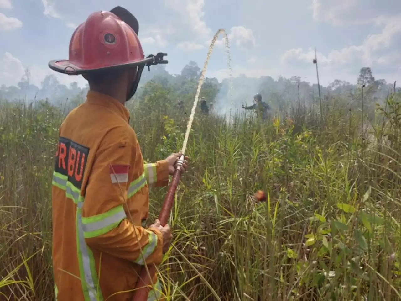 Gara-Gara Gesekan Batang Pohon,10 Hektare Lahan Gambut di Batu Besi Terbakar