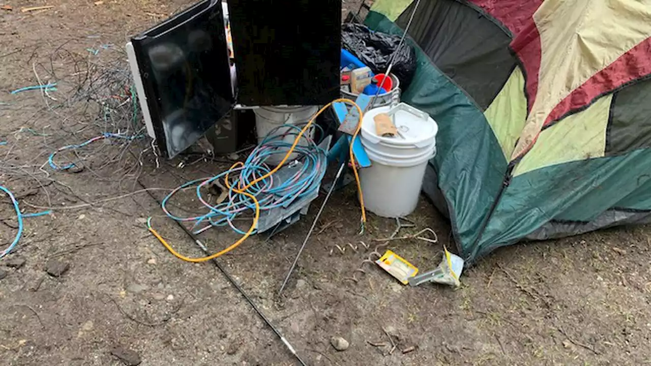 Harry Osborne State Forest in Skagit County closed due to vandalism, garbage, safety concerns