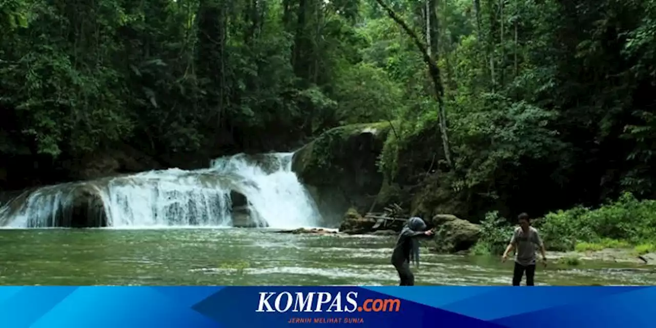 4 Wisata Populer di Pulau Buton, Ada Air Terjun dan Hutan