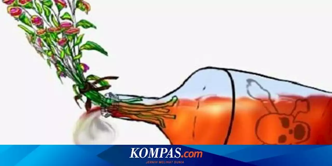 Kronologi Pesta Miras Oplosan Dicampur Losion Nyamuk yang Tewaskan 7 Pria di Pasuruan