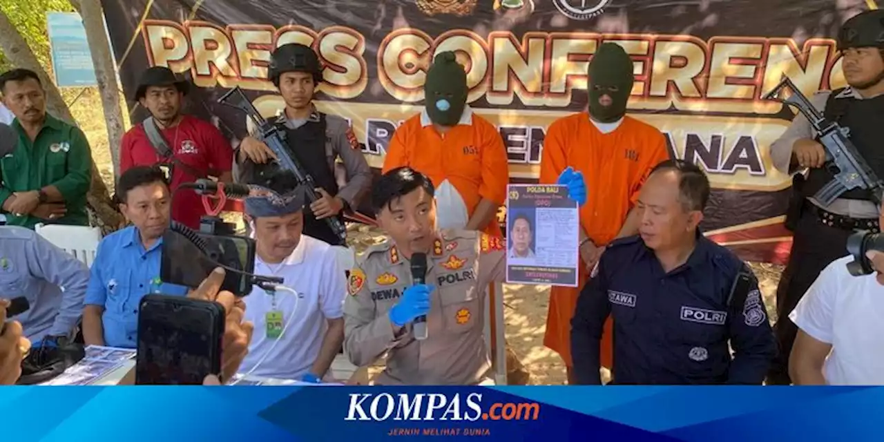 Selundupkan 18 Penyu Hijau, 2 Warga di Bali Ditetapkan Tersangka