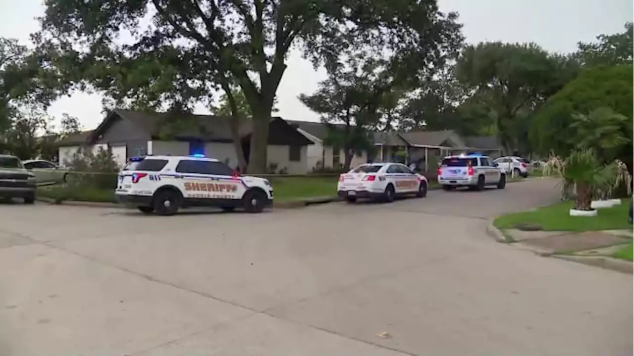 4-year-old child accidentally shoots 1-year-old brother in Houston, deputies say