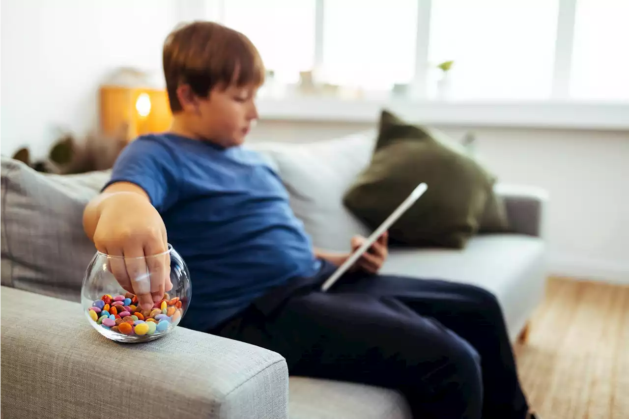 Diabetes, hipertensión, colesterol... La obesidad en niños tiene gran impacto en la salud 'a corto, medio y largo plazo'