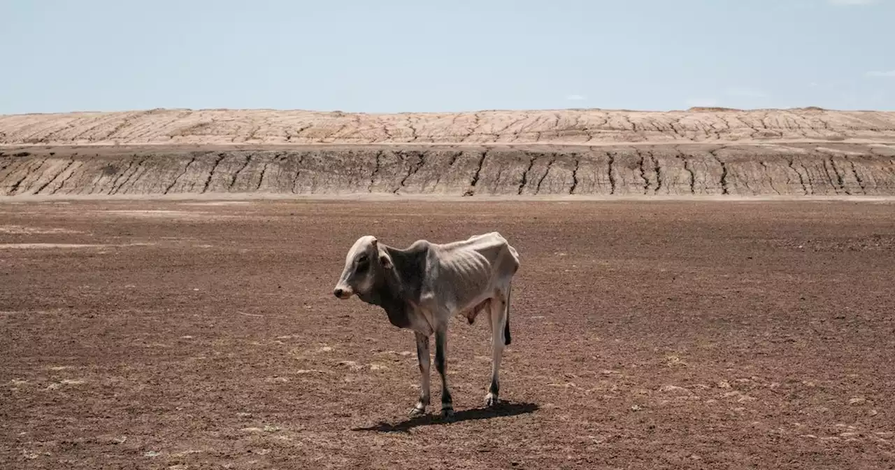 Climat : la période 2023-2027 sans doute la plus chaude jamais enregistrée