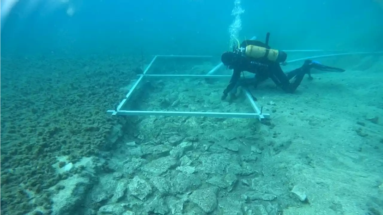 Remains of 7,000-year-old sunken stone road discovered off Croatia's coast