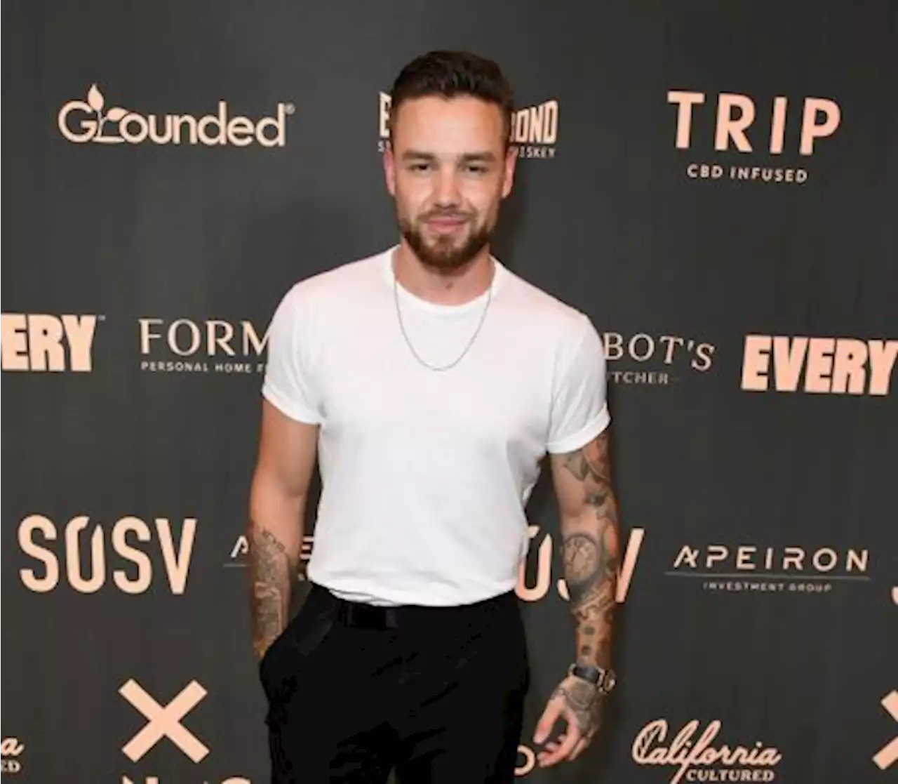 Bebas Alkohol 100 Hari, Liam Payne Akan Adakan Tur Untuk Album Baru