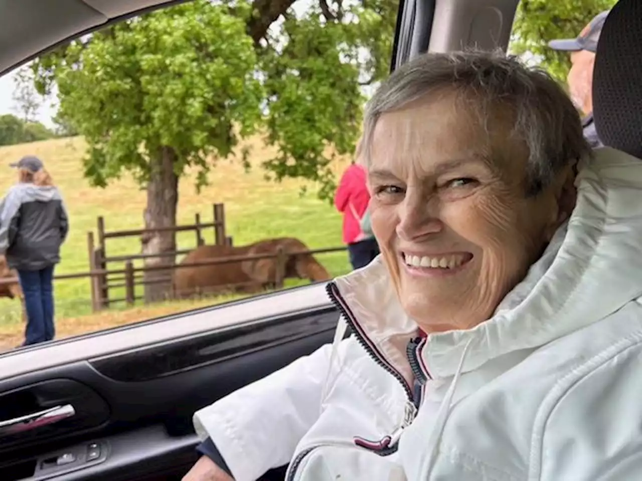 Seeing elephant up close in natural habitat a wish come true for Bay Area elderly woman